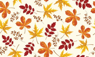 Sarı, kırmızı ve turuncu yaprakların güzel desenleri. Akçaağaç, kül ve meşe. El yapımı taze kırsal eko. Vektör dekoratif zarif resimleme izole edilmiş beyaz arkaplan