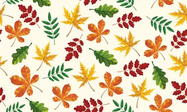 Sarı, kırmızı, yeşil ve turuncu yaprakların güzel desenleri. Akçaağaç, kül ve meşe. El yapımı taze kırsal eko. Vektör dekoratif zarif resimleme izole edilmiş beyaz arkaplan