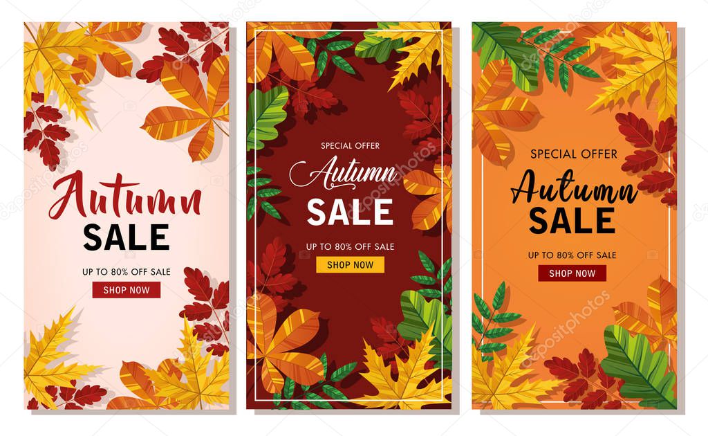 Set autumn sale background layout decorate with leaves of autumn for shopping sale or banner, promo poster, frame leaflet or web. Vector illustration.