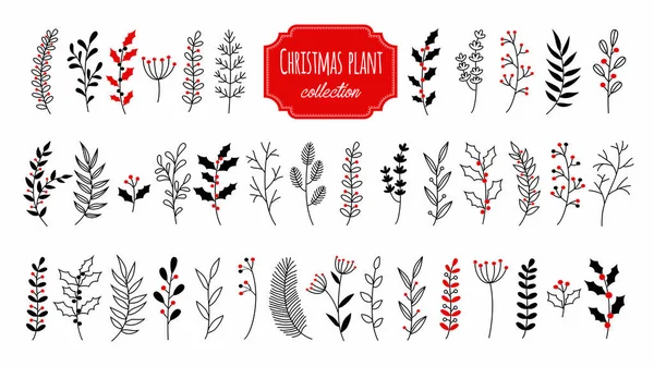 Elle Çizilmiş Vektör Noel Çiçek Elementlerini Ayarlayın Dallar Bitkiler Botanik — Stok Vektör