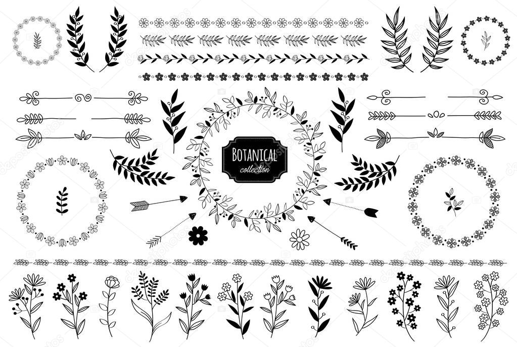 Hand drawn vector floral elements. Branches and leaves. Herbs and plants collection. Vintage botanical illustrations.