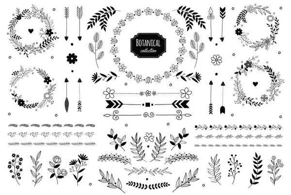 El çizimi vektör çiçek elementleri. Dallar ve yapraklar. Bitki ve bitki koleksiyonu. Klasik botanik çizimler.