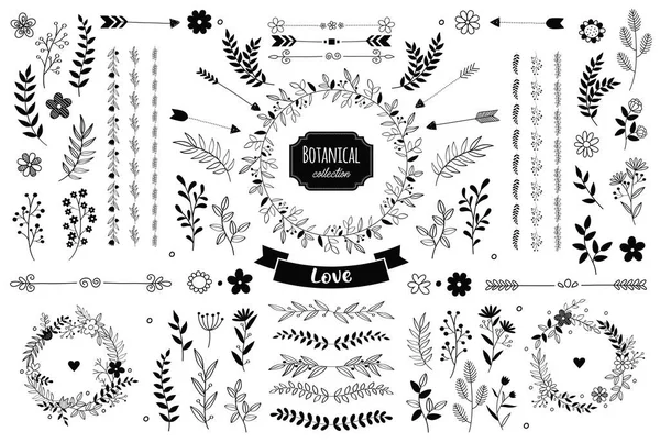 El çizimi vektör çiçek elementleri. Dallar ve yapraklar. Bitki ve bitki koleksiyonu. Klasik botanik çizimler.