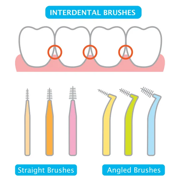 齿间刷和牙齿插图 牙科和口腔护理概念 — 图库矢量图片