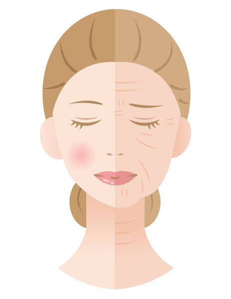 young and aged winkled female skin illustration isolated on white background