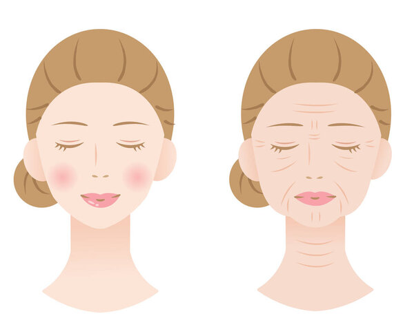 young and aged winkled female skin illustration isolated on white background