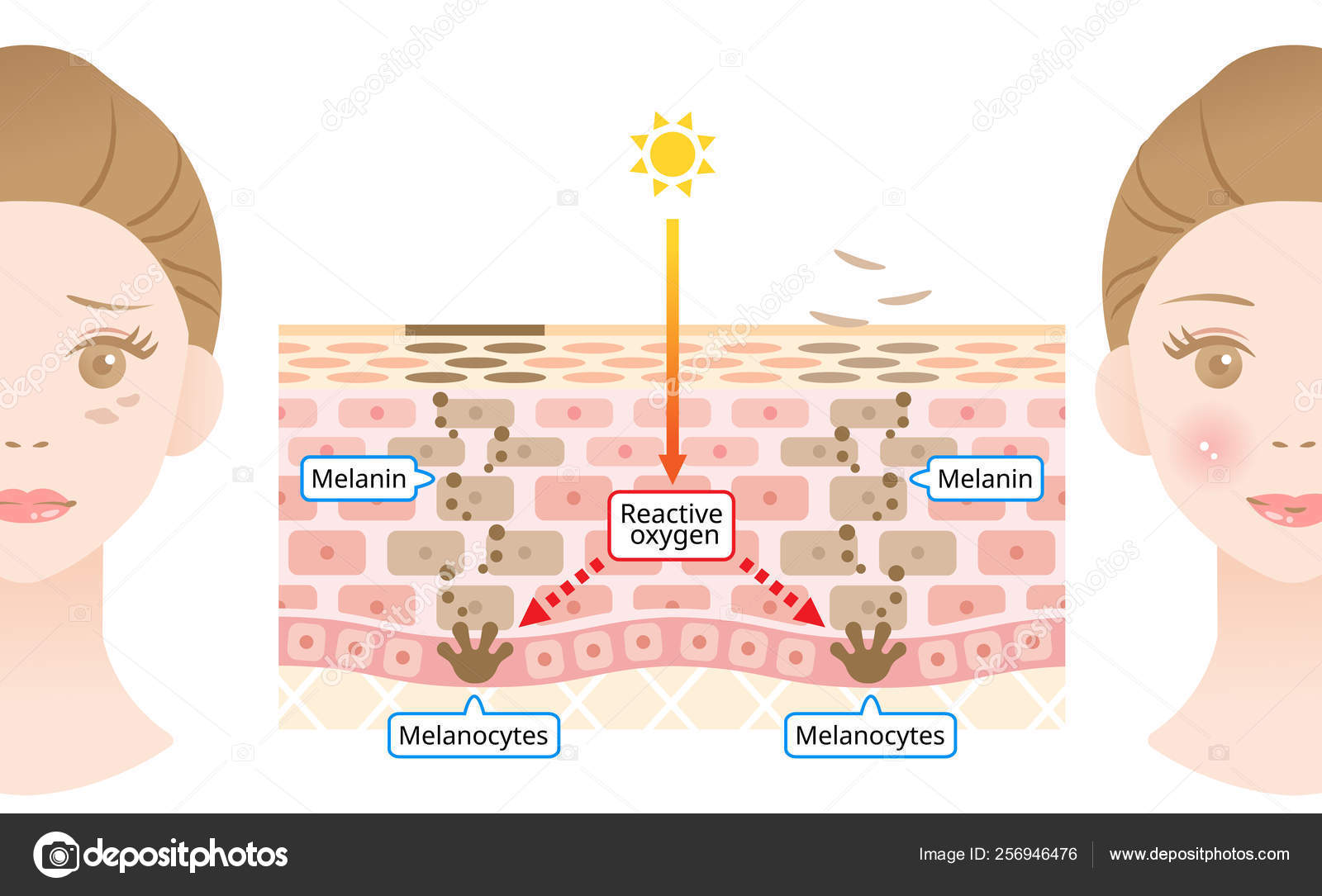 Melanin skin 2024