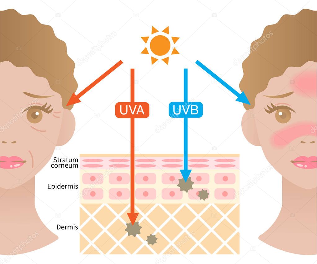 infographic illustration of difference between UVA and UVB rays.  UV penetration into human skin and black woman face. skin care and beauty concept