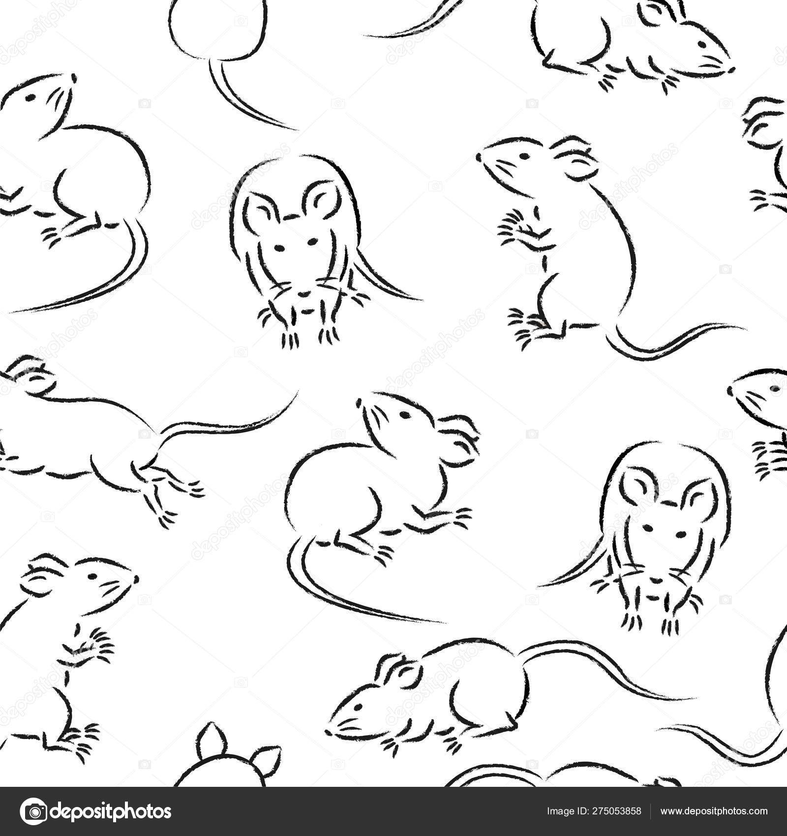 🐱 생후 3개월 고양이 사회화 시기 완벽 가이드 ✨, image size:1600x1700