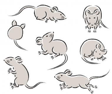 set of cute hand drawn mice illustration. variety of movements and poses, running, standing, and sitting with front, back, sleeping, and side view clipart