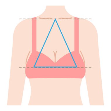 Göğüs sarkması ikizkenar üçgendir. Köprücük kemiğinden üst memelere üç nokta bağlıdır. Güzellik ve vücut bakımı tasviri 