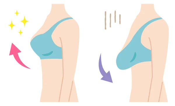 Breast lift line icon. Female body lift vector - Stock Illustration  [48773402] - PIXTA