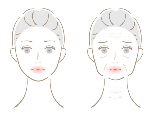 winkle and young woman face. Before after illustration. Beauty skin care concept