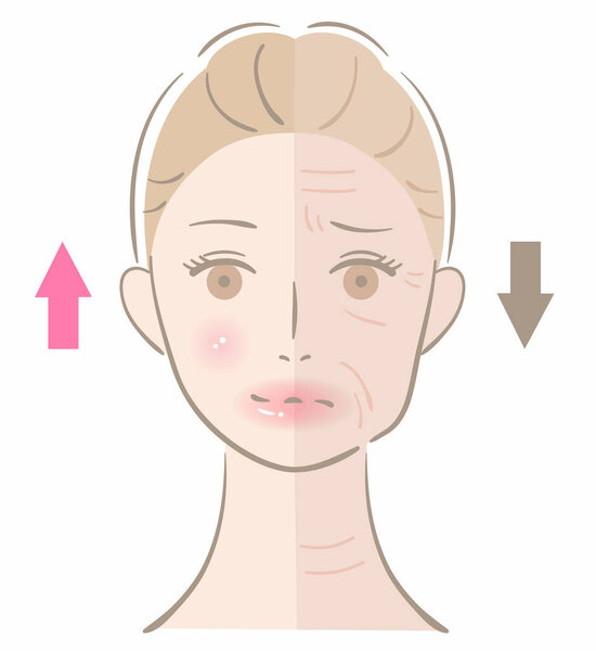 winkle and young woman face. Before after illustration. Beauty skin care concept