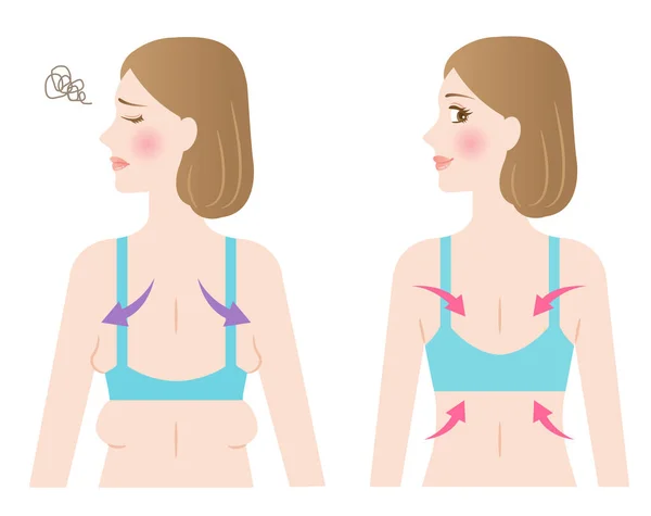 Jeune Dos Mince Vieux Dos Gras Comparaison Avec Flèche Isolé — Image vectorielle