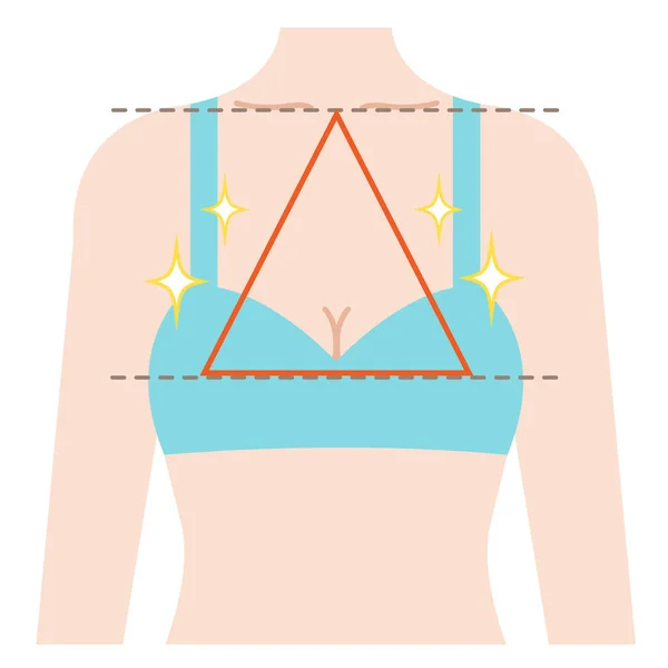 Diagram of Sagging Breasts and Womanâ€™s Body Illustration. Beauty