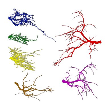 Ağaç dalları siluet (vektör çizim) gerçekçi kümesi. Farklı renk tonları