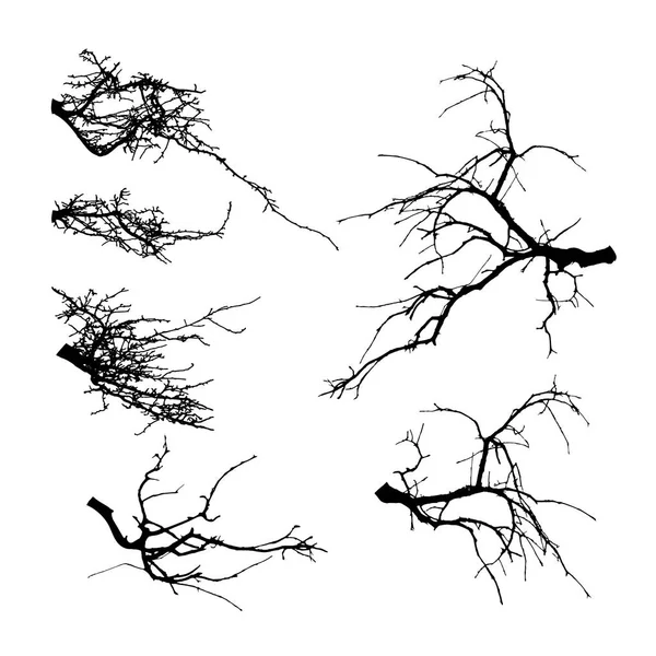 Realistic Set Tree Branches Silhouette Vector Illustration — Stock Vector