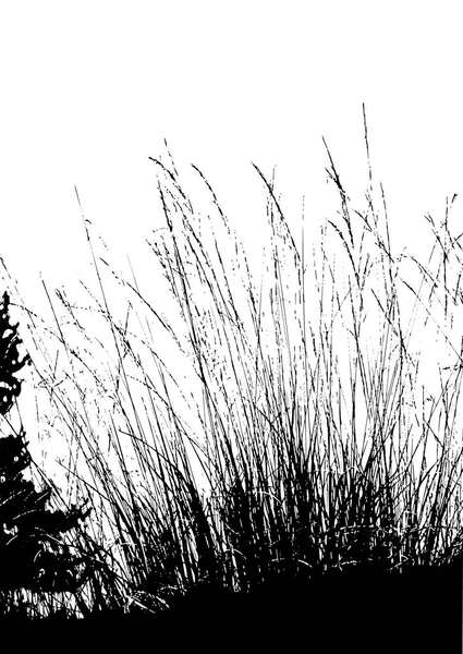 现实草剪影从自然 向量例证 — 图库矢量图片