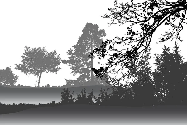 Des Arbres Dans Forêt Paysage Illustration Vectorielle — Image vectorielle