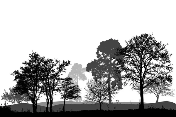 Des Arbres Dans Forêt Paysage Illustration Vectorielle — Image vectorielle