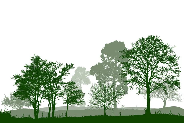 フォレスト内のツリー 風景です ベクトル イラスト — ストックベクタ