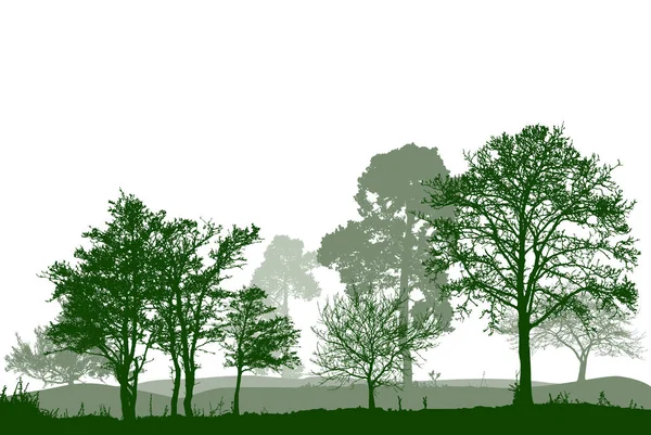 Bomen Het Bos Landschap Vectorillustratie — Stockvector