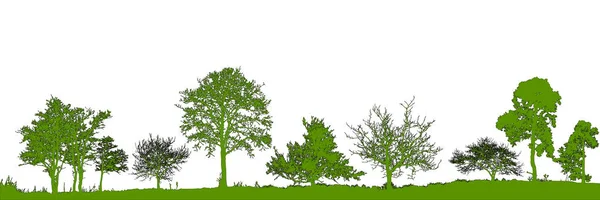 Realistická Sada Silueta Stromy Vektorové Ilustrace — Stockový vektor