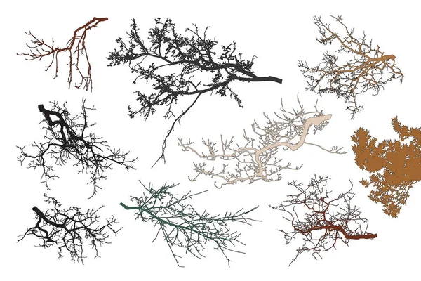 Realistisches Set Von Baumzweigen Silhouette Vektor Illustration Verschiedene Farbtöne — Stockvektor