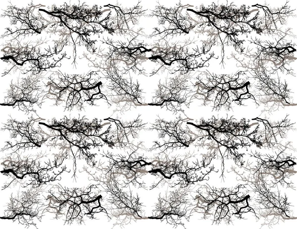 Χωρίς Ραφή Πρότυπο Δέντρο Κλαδιά Σκιαγραφία Εικονογράφηση Διάνυσμα — Διανυσματικό Αρχείο