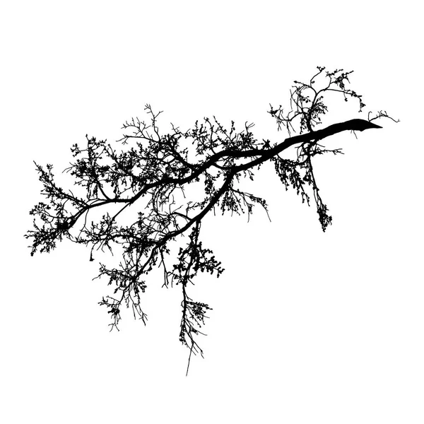 Realistic Tree Branches Silhouette White Background Vector Illustration Natural Branch — Stock Vector