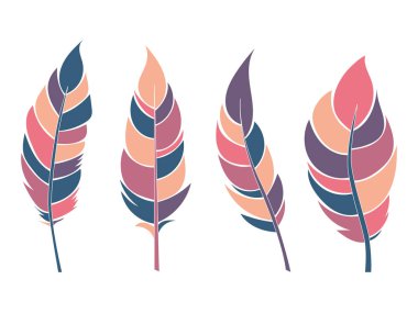 Renkli düz tüyler seti