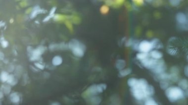 Gökkuşağı merceğiyle soyut doğal arkaplan. Yavaş çekim. 