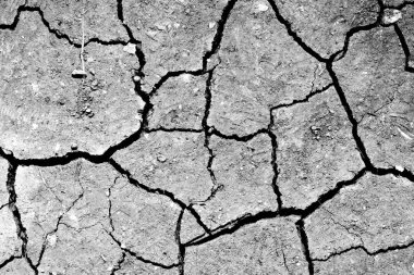 Kırık kuru çamur deseni
