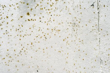 Metal arka planda Rust flecks