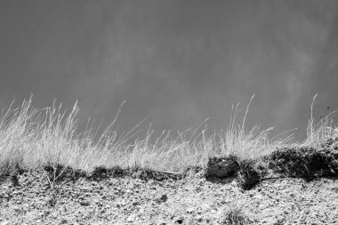 Plaj erozyonu Cliff Face