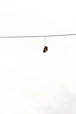 Elektrik kablosuna asılı botlar