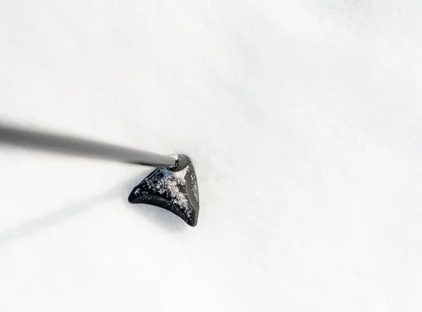 Bâton de ski de fond Polonais dans la neige — Photo