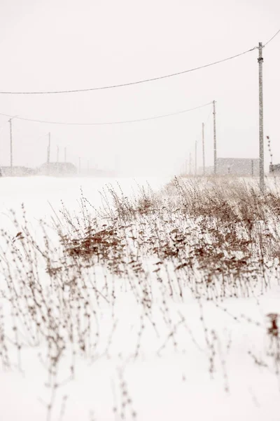 Inverno nevasca neve tempestade lado da estrada — Fotografia de Stock