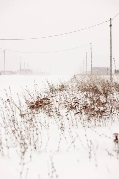 冬季暴风雪路侧 — 图库照片