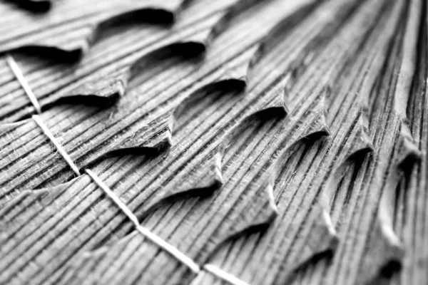 Makro Holz Handwerk Textur Hintergrund — Stockfoto