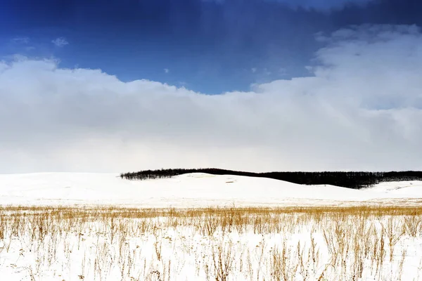 Scape neve invernale e campi — Foto Stock