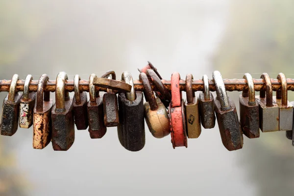 Locked Padlocks on Metal Line — Stock Photo, Image