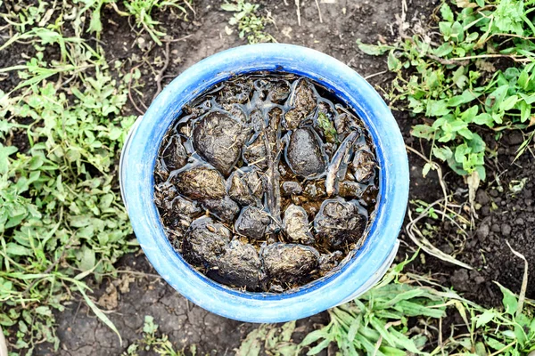 Paardenmest thee compost — Stockfoto