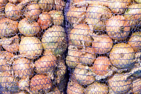Ağlar soğan torbaları closeup — Stok fotoğraf