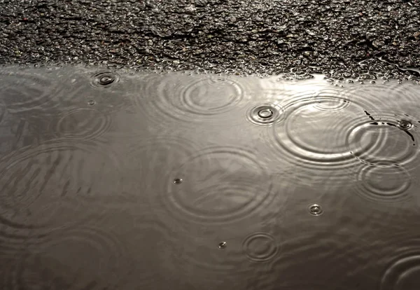 Regentropfen in einer Pfütze und Asphalt — Stockfoto