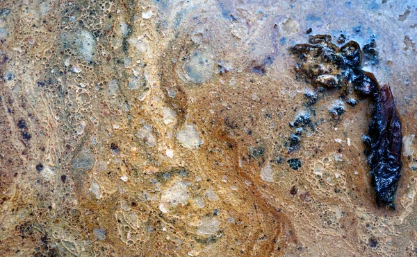 Grasa y grasa de cocina usadas congeladas en el agua — Foto de Stock