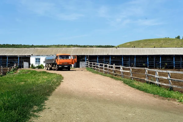 Milk Lorry Collecting from a Dairy Farm — Stock Photo, Image