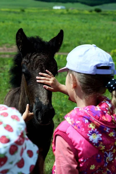 Ung flicka strök en häst — Stockfoto