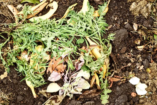 Tumpukan Kompos Limbah Dapur Organik — Stok Foto